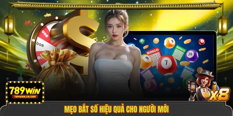 Mẹo bắt số hiệu quả cho người mới