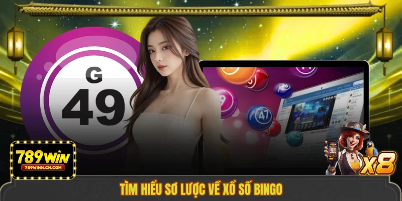 Tìm hiểu sơ lược về xổ số Bingo