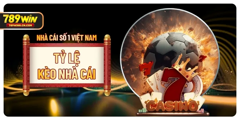Tỷ Lệ Kèo Nhà Cái - Cách Đọc Và Phân Tích Trước Trận